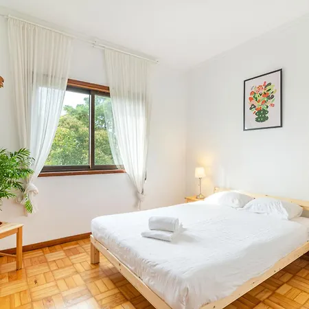 Apartment Bonfim Sunny Vintage
